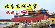 难得一见嫩穴一线天美女自慰尿尿特写中国北京-东城古宫旅游风景区